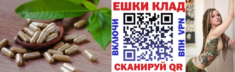 Ecstasy 300 mg  цены   Магас 