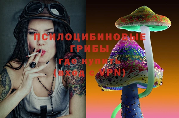 spice Арсеньев