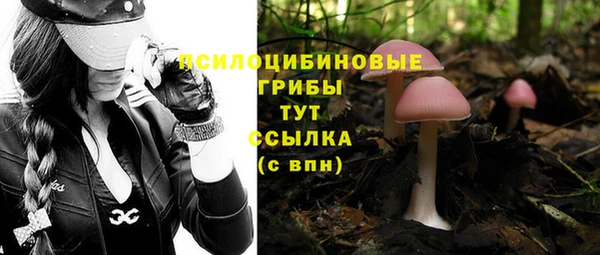 а пвп мука Аркадак