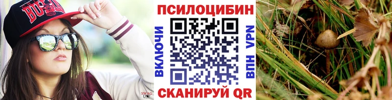 сайты даркнета формула Магас Псилоцибиновые грибы мицелий